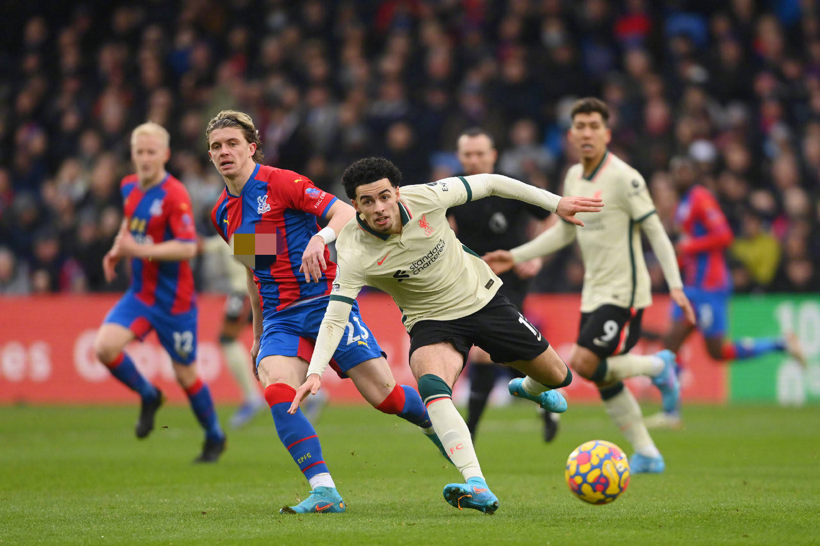 成功吸引全 成功吸引全